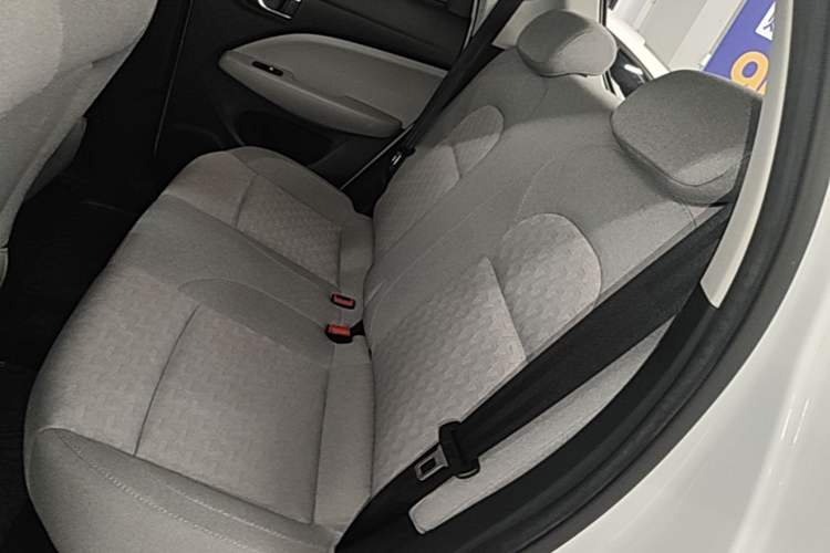 Used Leapmotor T03 2022 Glazed Edition Left Rear Seat