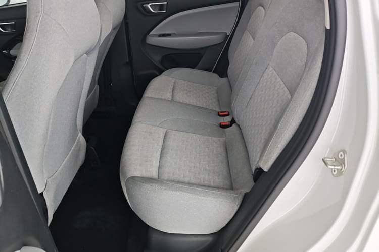 Used Leapmotor T03 2022 Agate Edition Left Rear Seat