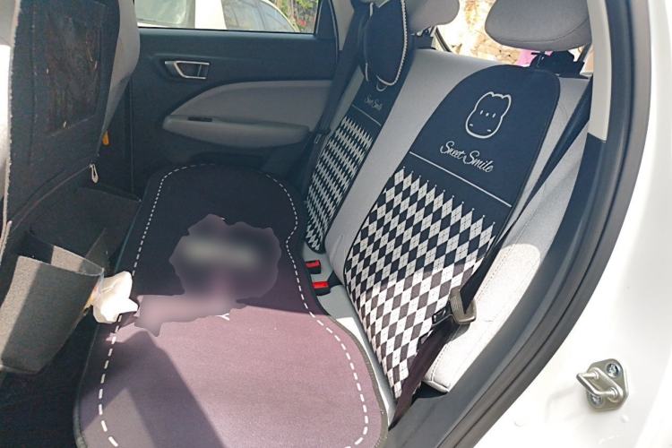 Used Leapmotor T03 2022 Crystal Edition Left Rear Seat