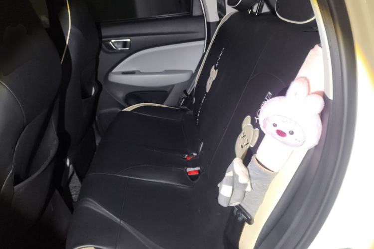 Used Leapmotor T03 2022 Glazed Edition Left Rear Seat