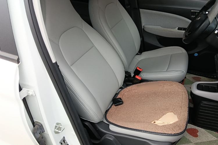 Used Leapmotor T03 2022 Hometown Jade Edition Right Front Seat