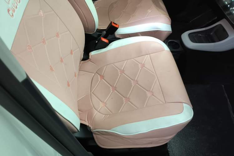 Used Leapmotor T03 2022 Hometown Jade Edition Right Front Seat