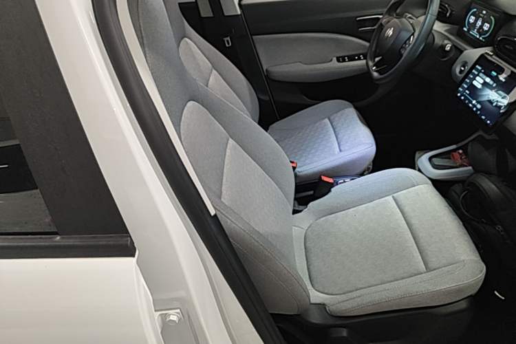 Used Leapmotor T03 2022 Glazed Edition Right Front Seat