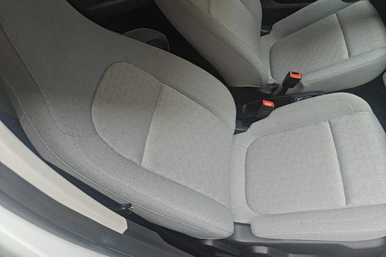 Used Leapmotor T03 2022 Hometown Jade Edition Right Front Seat