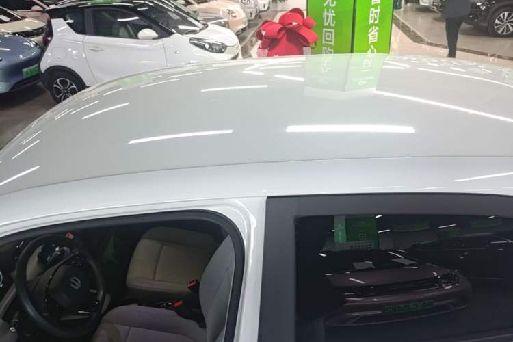 Used Leapmotor T03 2022 Agate Edition Roof