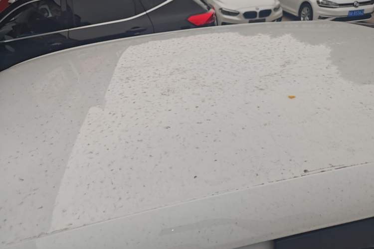 Used Leapmotor T03 2022 Crystal Edition Roof