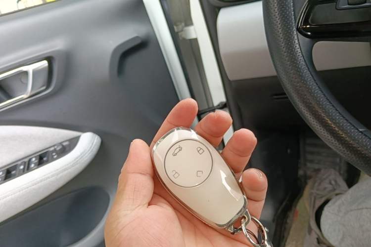 Used Leapmotor T03 2022 Hometown Jade Edition Vehicle Key