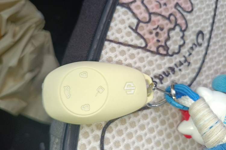 Used Leapmotor T03 2022 Crystal Edition Vehicle Key