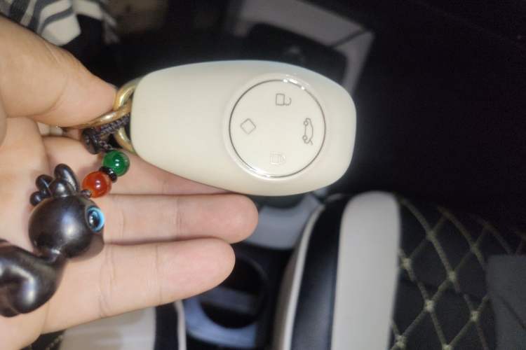 Used Leapmotor T03 2022 Crystal Edition Vehicle Key