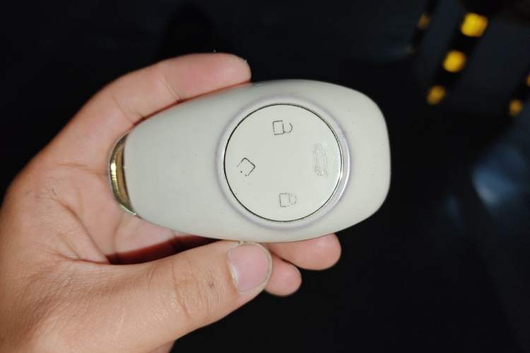Used Leapmotor T03 2022 Crystal Edition Vehicle Key