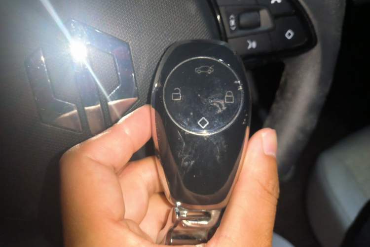 Used Leapmotor T03 2022 Hometown Jade Edition Vehicle Key