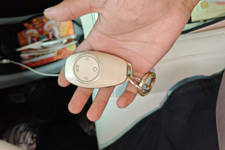 Used Leapmotor T03 2022 Hometown Jade Edition Vehicle Key