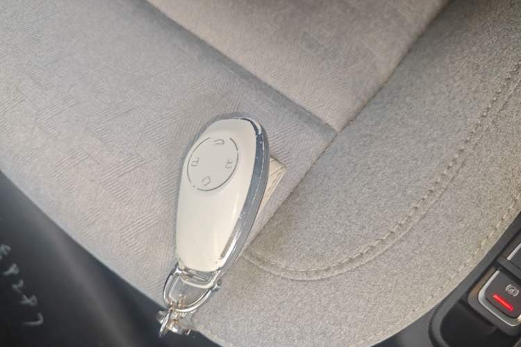 Used Leapmotor T03 2022 Crystal Edition Vehicle Key