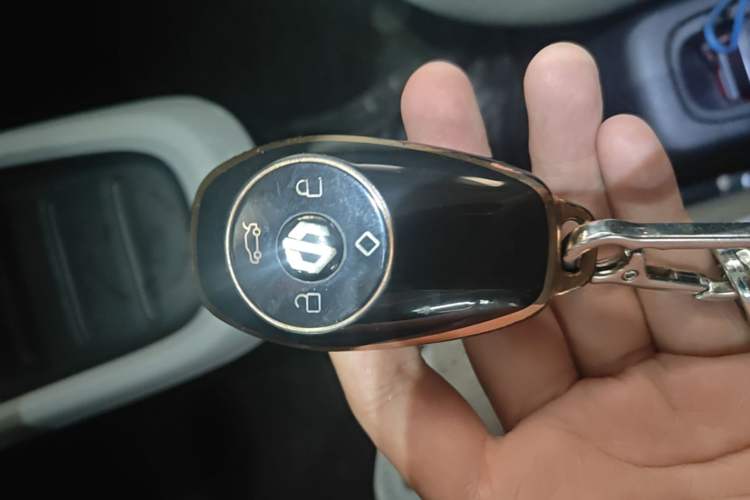Used Leapmotor T03 2022 Hometown Jade Edition Vehicle Key