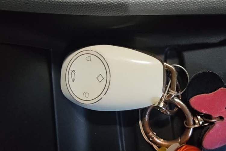 Used Leapmotor T03 2022 Hometown Jade Edition Vehicle Key