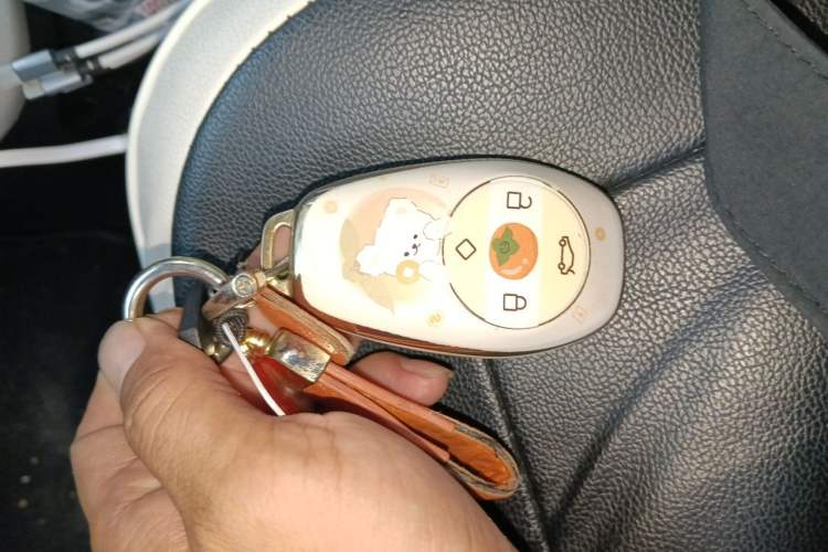 Used Leapmotor T03 2022 Hometown Jade Edition Vehicle Key