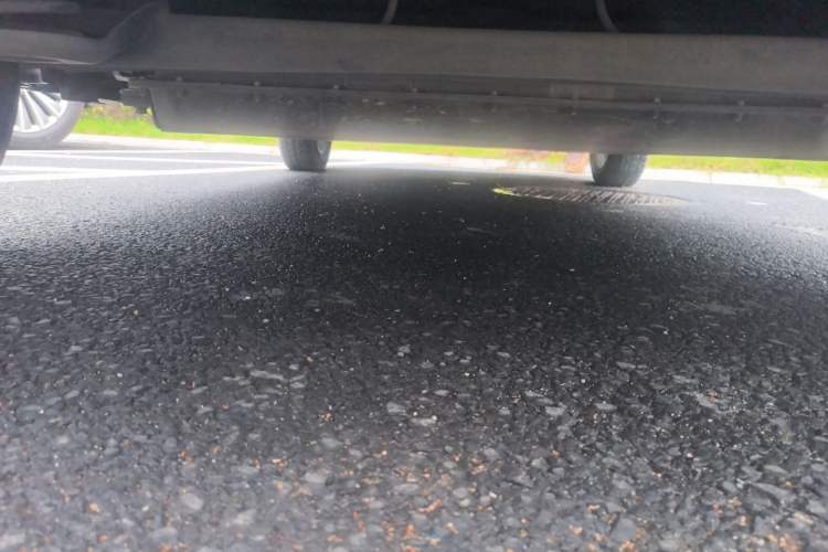 Used Leapmotor T03 2022 Hometown Jade Edition Chassis Rear