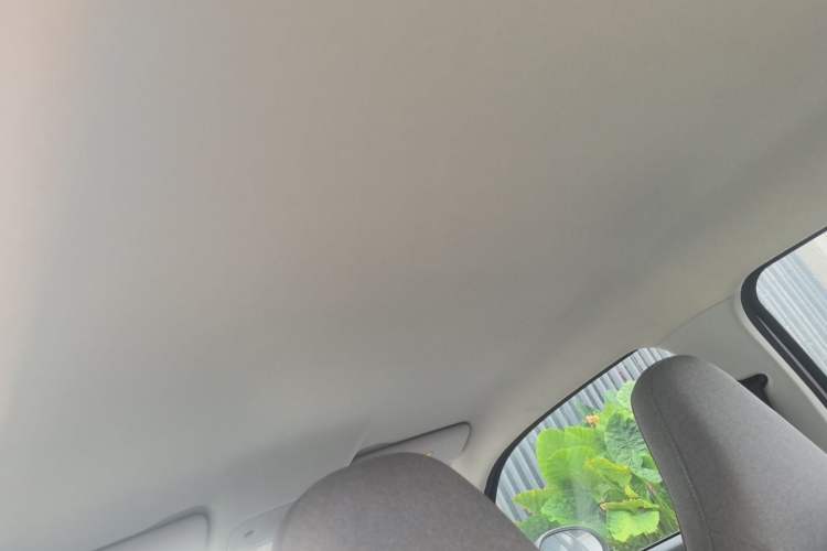 Used Leapmotor T03 2022 Hometown Jade Edition Headliner