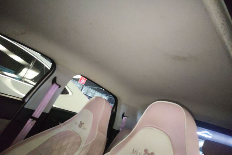 Used Leapmotor T03 2022 Amber Edition Headliner