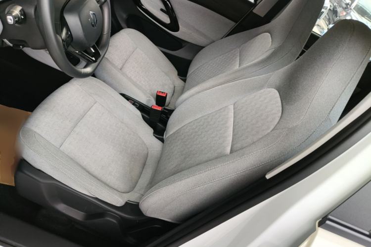 Used Leapmotor T03 2022 Hometown Jade Edition Left Front Seat
