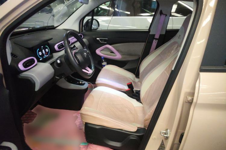 Used Leapmotor T03 2022 Amber Edition Left Front Seat