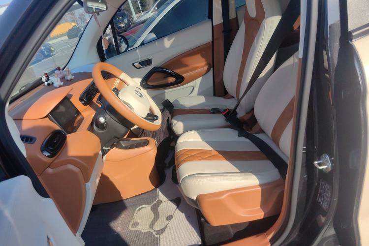 Used Leapmotor T03 2022 Hometown Jade Edition Left Front Seat
