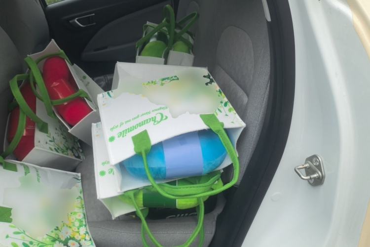 Used Leapmotor T03 2022 Hometown Jade Edition Left Rear Seat