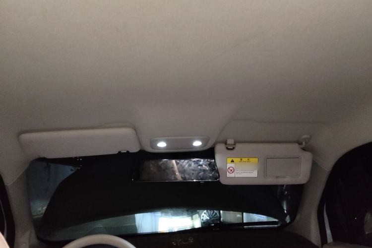 Used Leapmotor T03 2023 310 Lite Edition Headliner