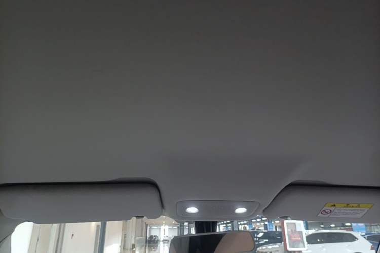 Used Leapmotor T03 2023 403 Lite Edition Headliner