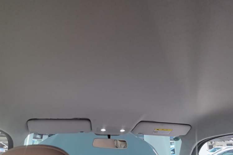 Used Leapmotor T03 2023 310 Lite Edition Headliner