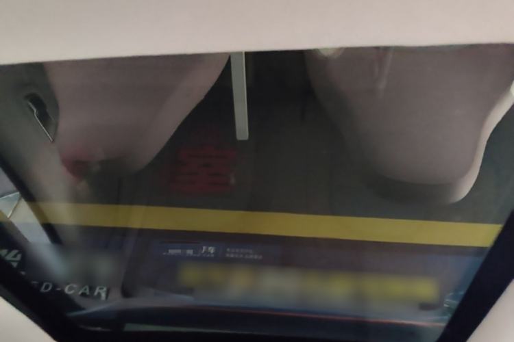 Used Leapmotor T03 2023 403 Smart Edition Headliner