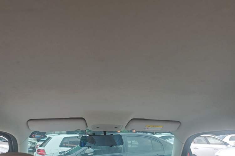 Used Leapmotor T03 2023 310 Lite Edition Headliner