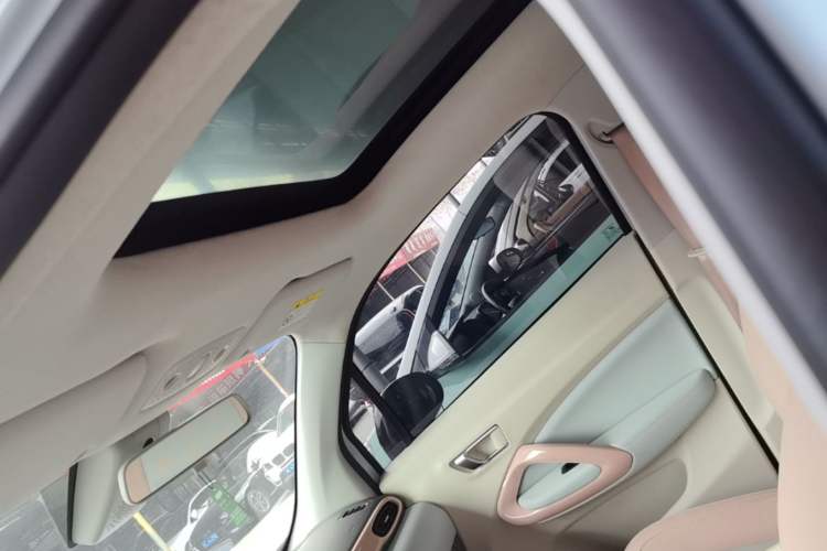 Used Leapmotor T03 2023 403 Smart Edition Headliner
