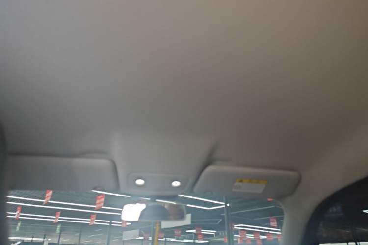 Used Leapmotor T03 2023 310 Lite Edition Headliner