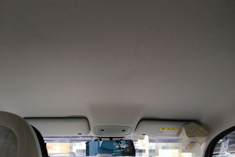 Used Leapmotor T03 2023 403 Lite Edition Headliner