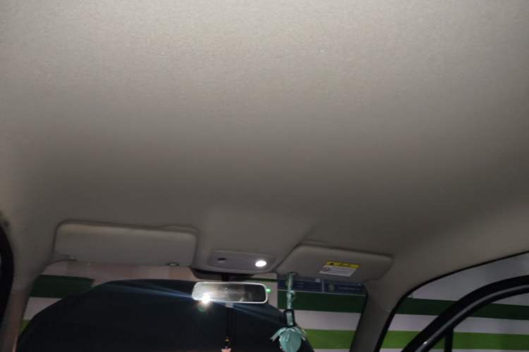Used Leapmotor T03 2023 310 Lite Edition Headliner