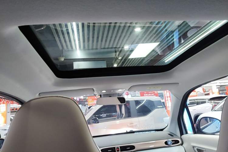 Used Leapmotor T03 2023 403 Smart Edition Headliner