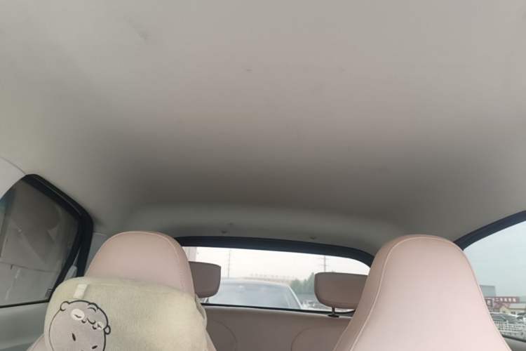Used Leapmotor T03 2023 310 Lite Edition Headliner