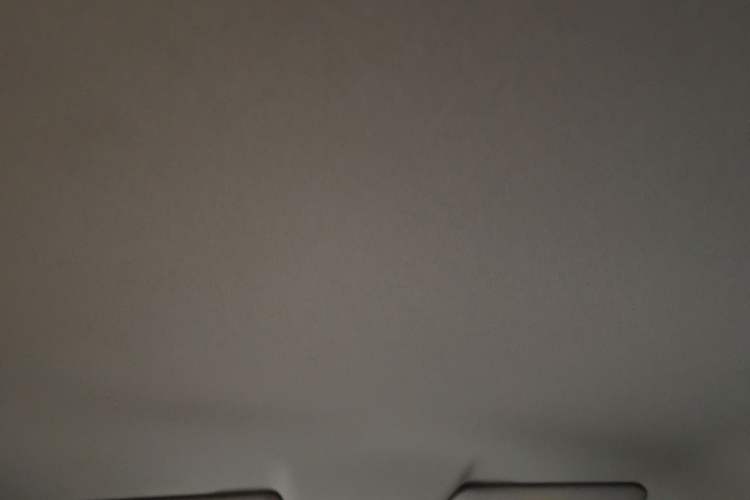 Used Leapmotor T03 2023 310 Lite Edition Headliner