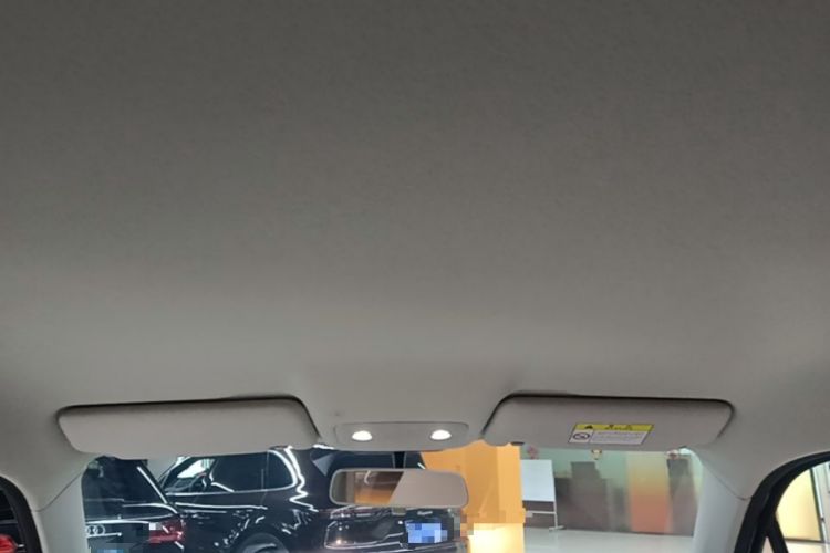 Used Leapmotor T03 2023 310 Lite Edition Headliner