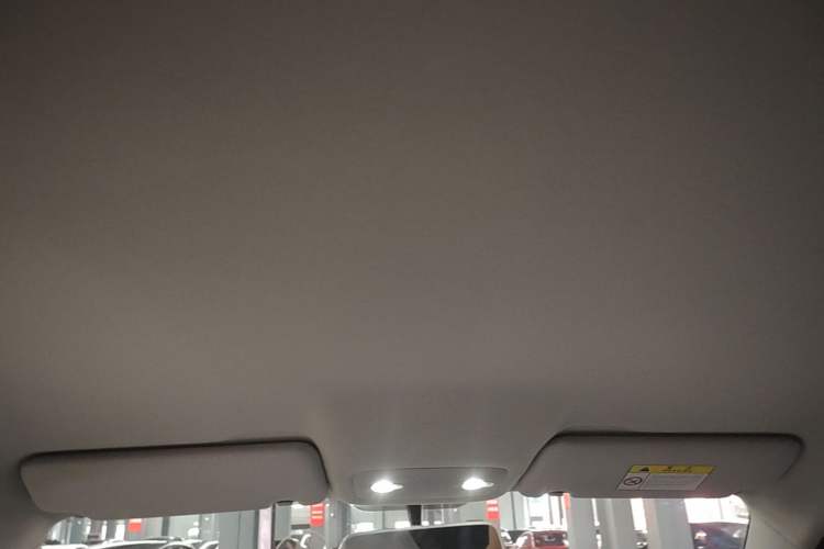 Used Leapmotor T03 2023 310 Lite Edition Headliner