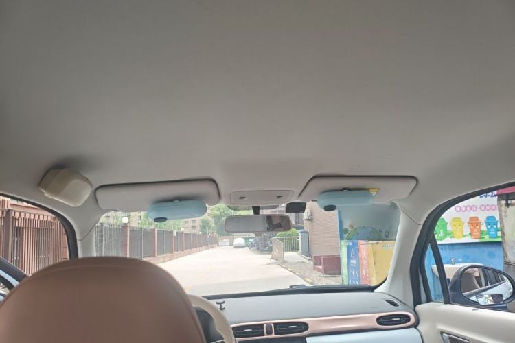 Used Leapmotor T03 2023 310 Lite Edition Headliner