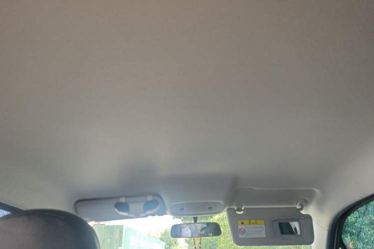 Used Leapmotor T03 2023 310 Lite Edition Headliner
