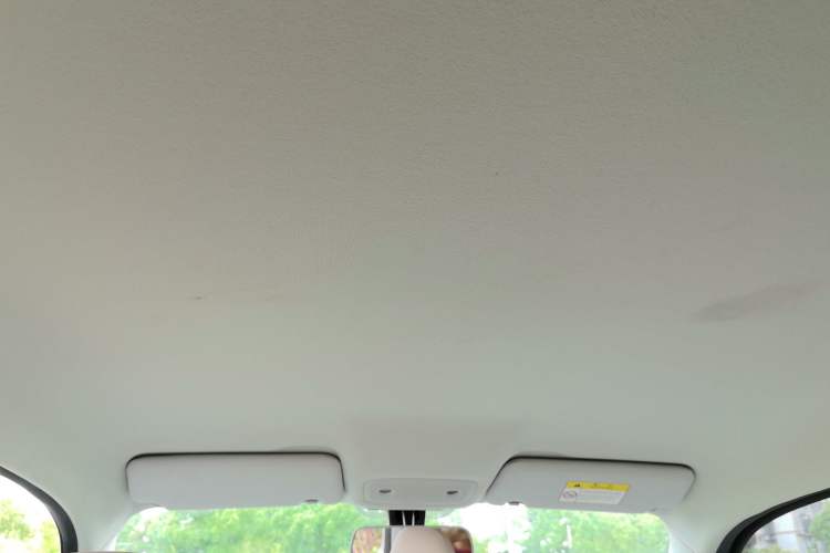 Used Leapmotor T03 2023 403 Lite Edition Headliner