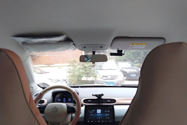 Used Leapmotor T03 2023 310 Lite Edition Headliner