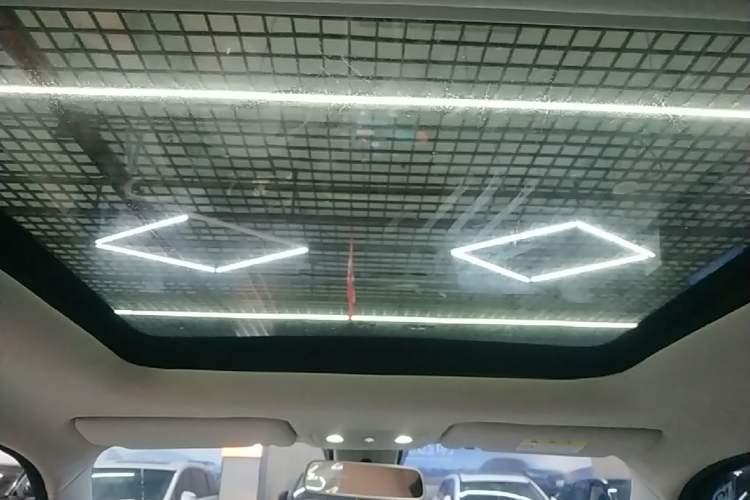 Used Leapmotor T03 2023 403 Smart Edition Headliner