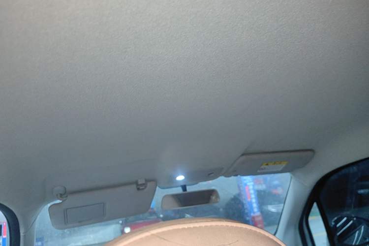 Used Leapmotor T03 2023 310 Lite Edition Headliner