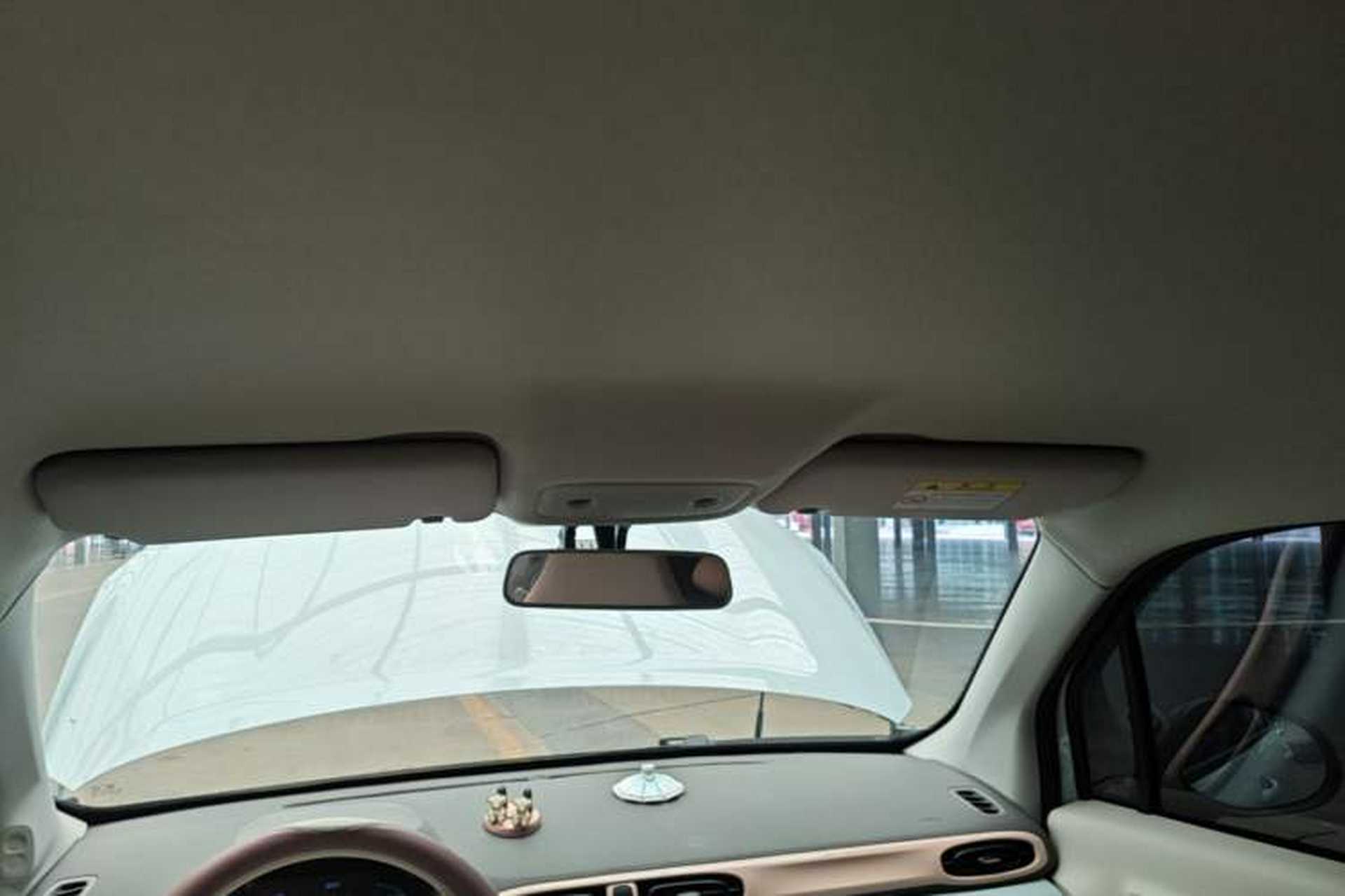 Used Leapmotor T03 2023 310 Lite Edition Headliner