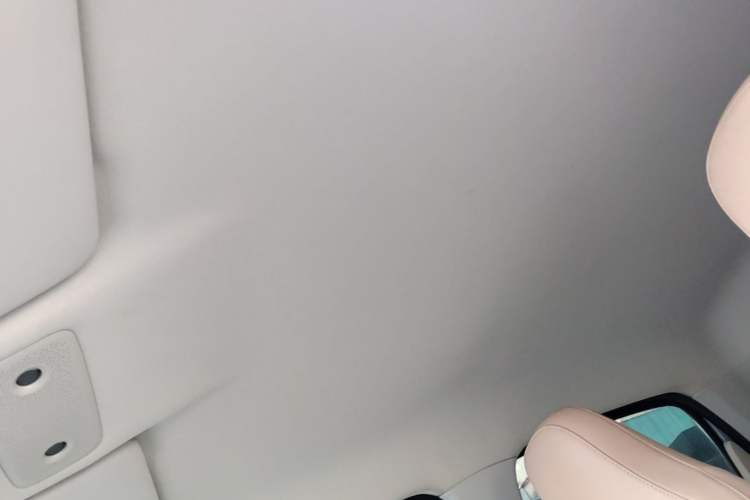 Used Leapmotor T03 2023 310 Lite Edition Headliner