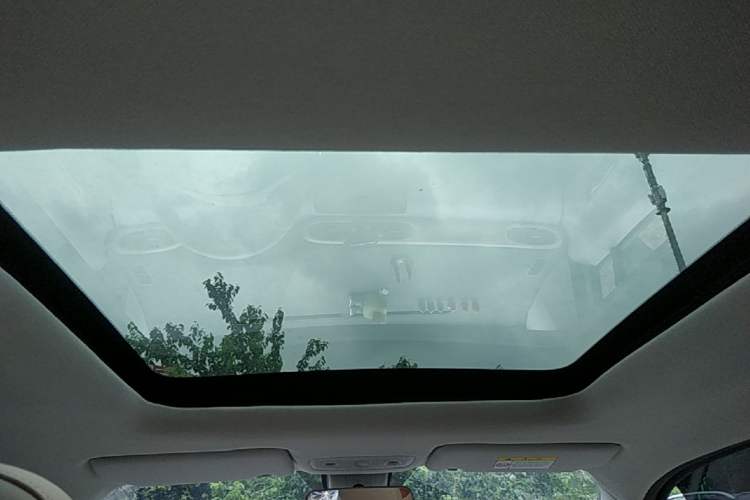 Used Leapmotor T03 2023 403 Smart Edition Headliner